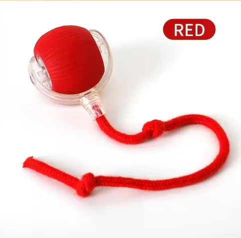DepoZoo™ PurrPlay Toy