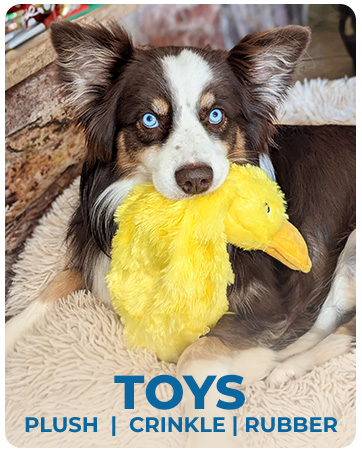DepoZoo™ Quack & Play Duck