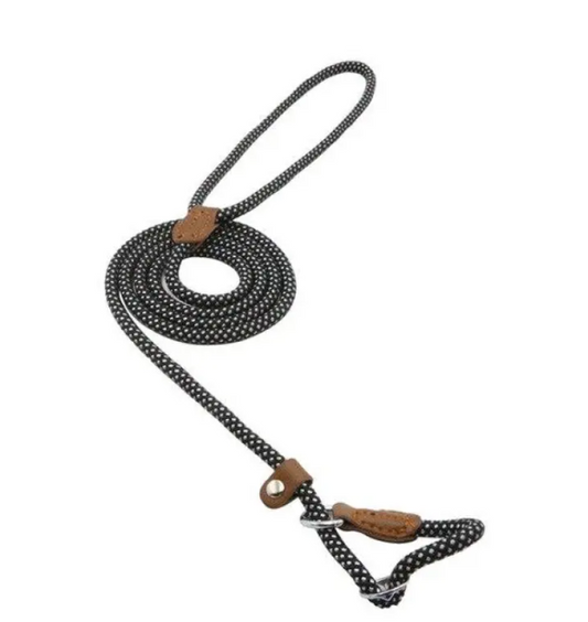 StrongPaw Collar & Lead