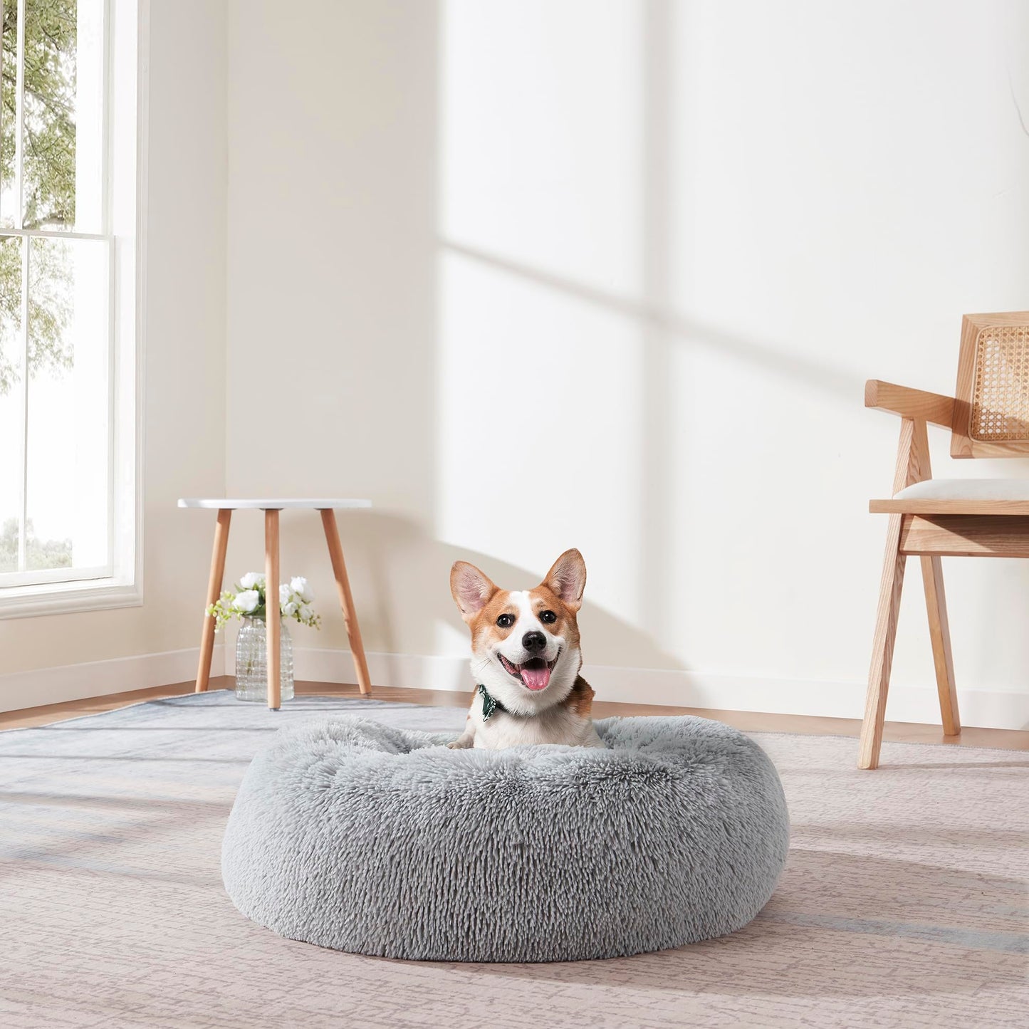 CloudPaw Bed