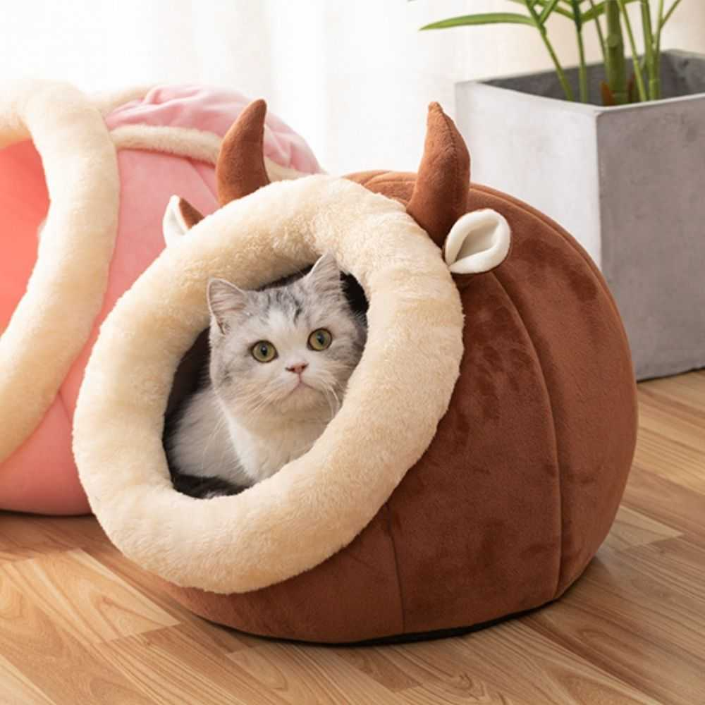 CozyPurr Nest