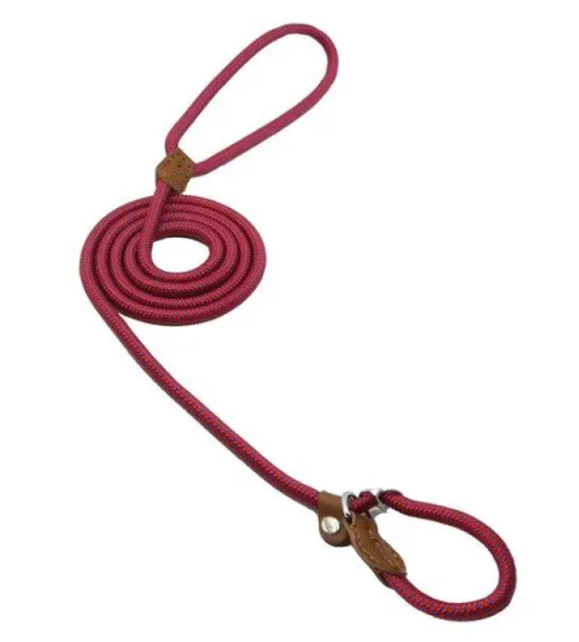 StrongPaw Collar & Lead