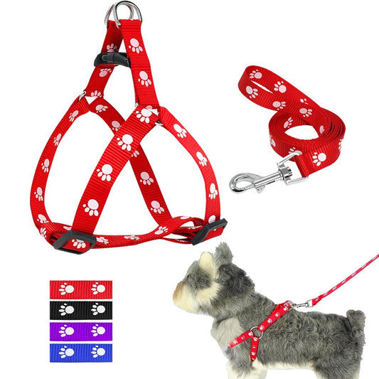 StylePaw Leash
