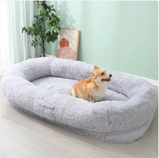 WinterCloud Bed