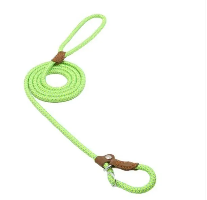 StrongPaw Collar & Lead
