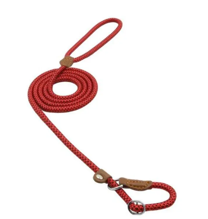 StrongPaw Collar & Lead