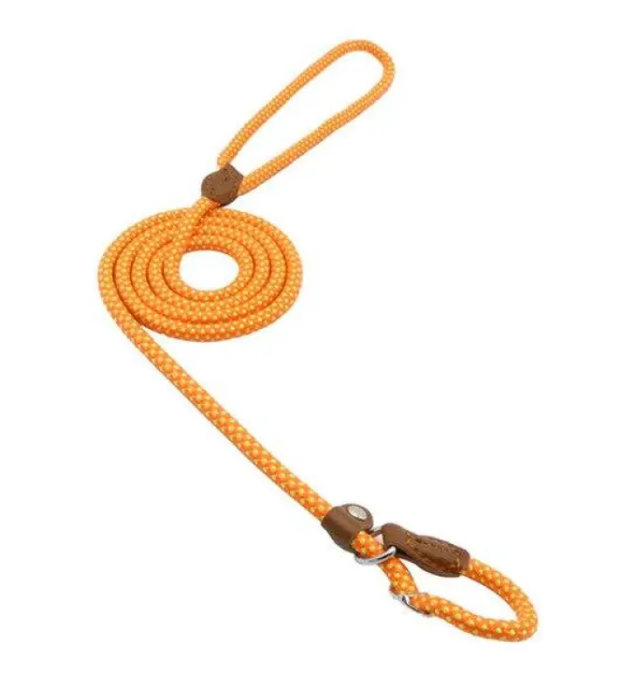 StrongPaw Collar & Lead