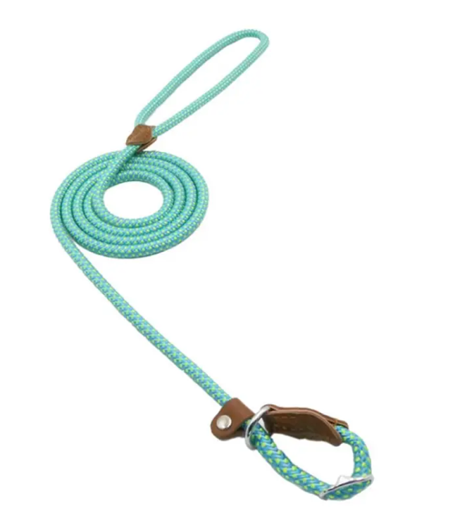 StrongPaw Collar & Lead