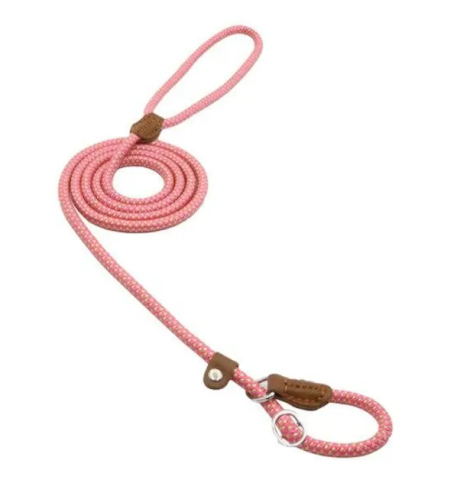 StrongPaw Collar & Lead